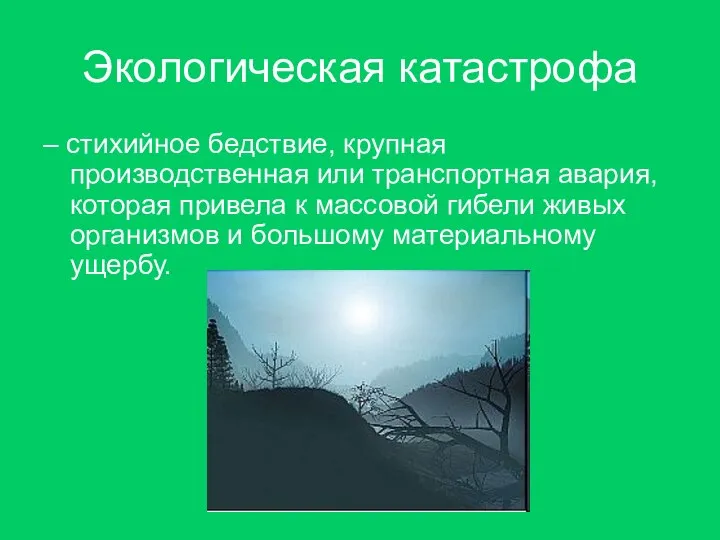 Экологическая катастрофа – стихийное бедствие, крупная производственная или транспортная авария, которая привела