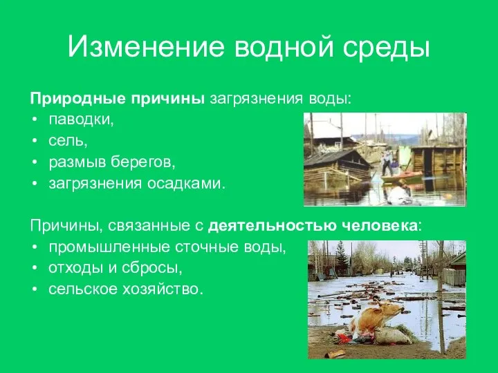 Изменение водной среды Природные причины загрязнения воды: паводки, сель, размыв берегов, загрязнения