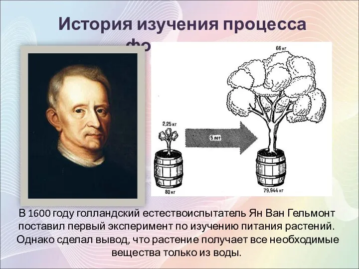 История изучения процесса фотосинтеза В 1600 году голландский естествоиспытатель Ян Ван Гельмонт