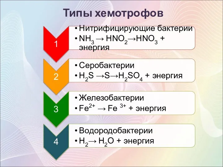 Типы хемотрофов