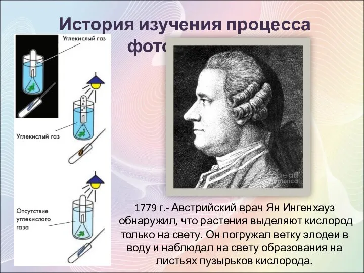 История изучения процесса фотосинтеза 1779 г.- Австрийский врач Ян Ингенхауз обнаружил, что
