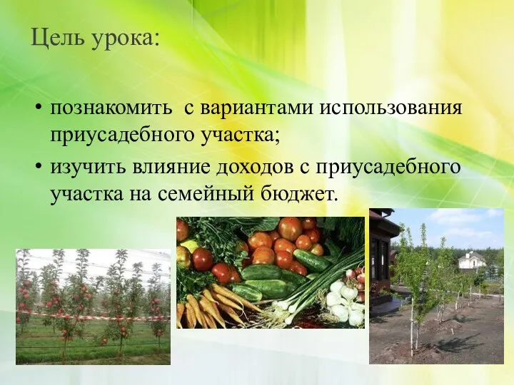 Цель урока: познакомить с вариантами использования приусадебного участка; изучить влияние доходов с