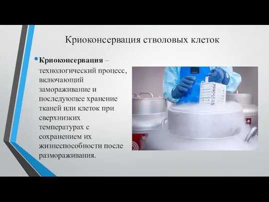 Криоконсервация стволовых клеток Криоконсервация – технологический процесс, включающий замораживание и последующее хранение