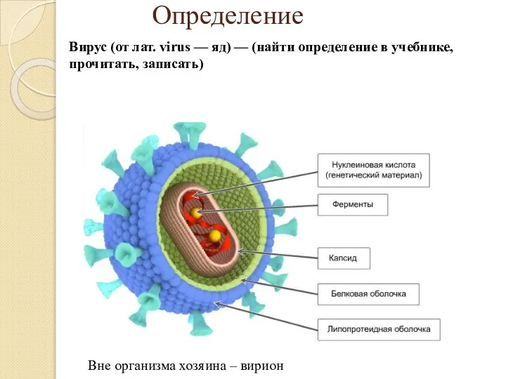 Определение Вирус (от лат. virus — яд) — (найти определение в учебнике,