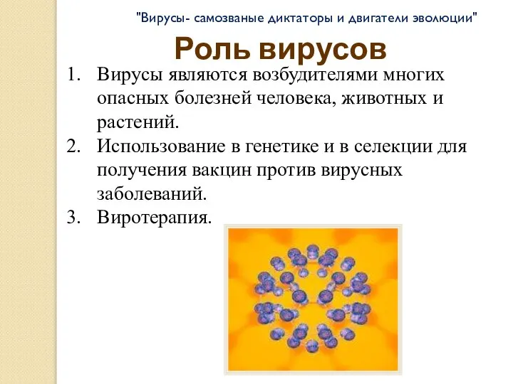 Роль вирусов "Вирусы- самозваные диктаторы и двигатели эволюции" Вирусы являются возбудителями многих