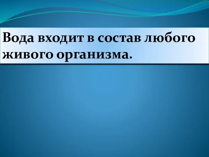 Вода входит в состав любого живого организма.