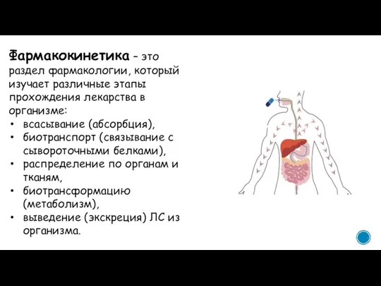 Фармакокинетика – это раздел фармакологии, который изучает различные этапы прохождения лекарства в