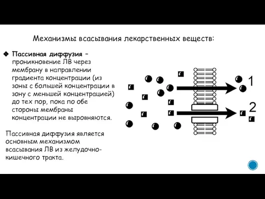 Механизмы всасывания лекарственных веществ: Пассивная диффузия – проникновение ЛВ через мембрану в