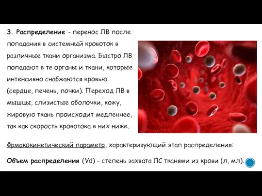 3. Распределение - перенос ЛВ после попадания в системный кровоток в различные