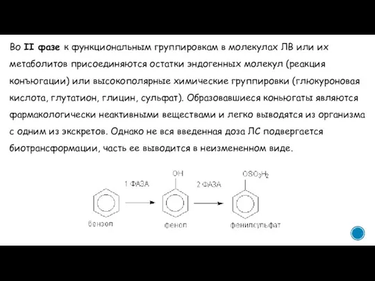 Во II фазе к функциональным группировкам в молекулах ЛВ или их метаболитов