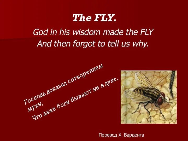 The FLY. God in his wisdom made the FLY And then forgot