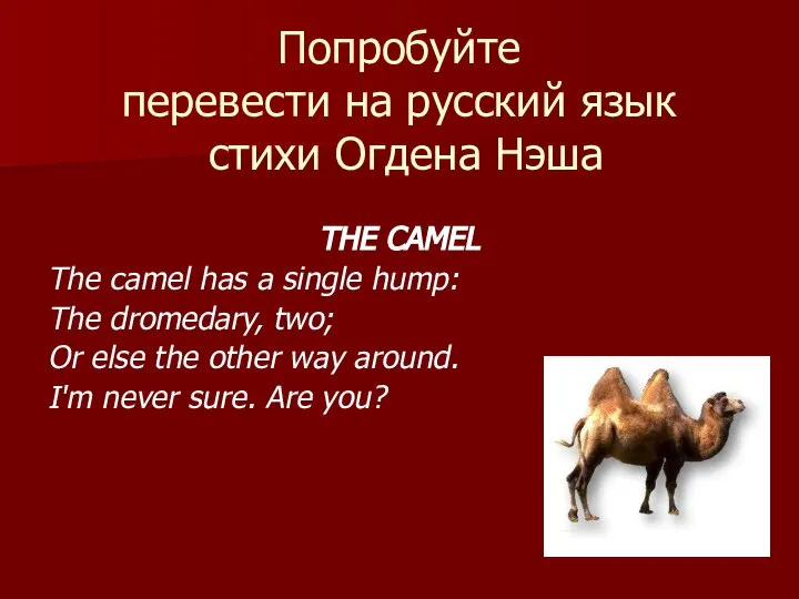 Попробуйте перевести на русский язык стихи Огдена Нэша THE CAMEL The camel