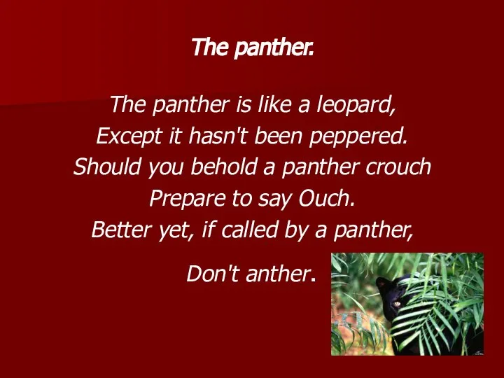 The panther. The panther is like a leopard, Except it hasn't been