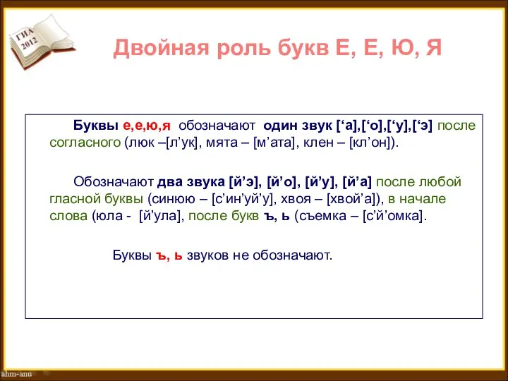 Двойная роль букв Е, Е, Ю, Я Буквы е,е,ю,я обозначают один звук