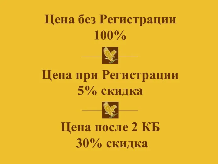 Цена без Регистрации 100% Цена при Регистрации 5% скидка Цена после 2 КБ 30% скидка