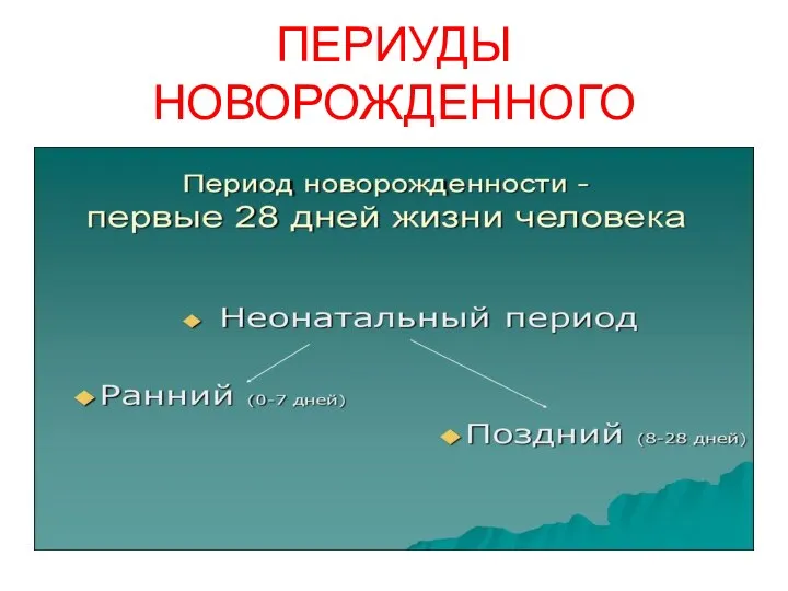 ПЕРИУДЫ НОВОРОЖДЕННОГО