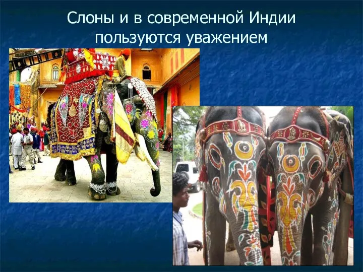 Слоны и в современной Индии пользуются уважением
