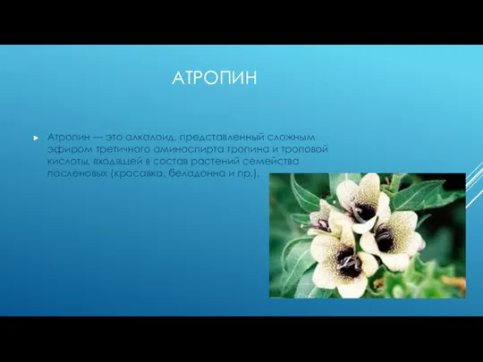 АТРОПИН Атропин — это алкалоид, представленный сложным эфиром третичного аминоспирта тропина и