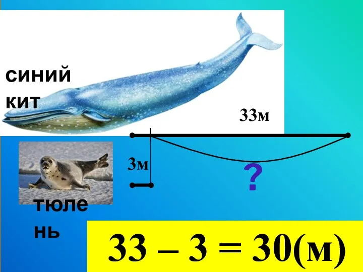 33м 3м тюлень синий кит ? 33 – 3 = 30(м)