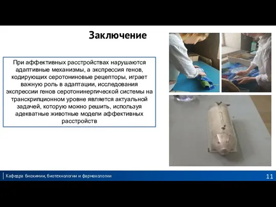 Заключение При аффективных расстройствах нарушаются адаптивные механизмы, а экспрессия генов, кодирующих серотониновые