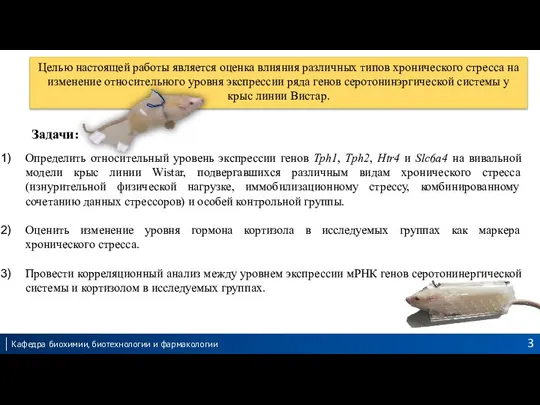 Целью настоящей работы является оценка влияния различных типов хронического стресса на изменение