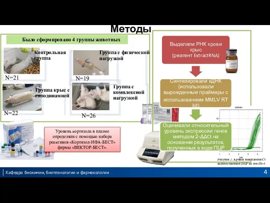 Рисунок 2. Кривая накопления Сt количественной ПЦР на ген Htr4. Методы Уровень