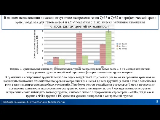 В сравнении с контрольной группой после 3 месяцев воздействий стрессовых факторов на