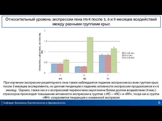 Относительный уровень экспрессии гена Htr4 после 3, 6 и 9 месяцев воздействий