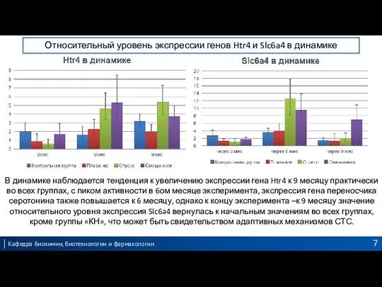 В динамике наблюдается тенденция к увеличению экспрессии гена Htr4 к 9 месяцу