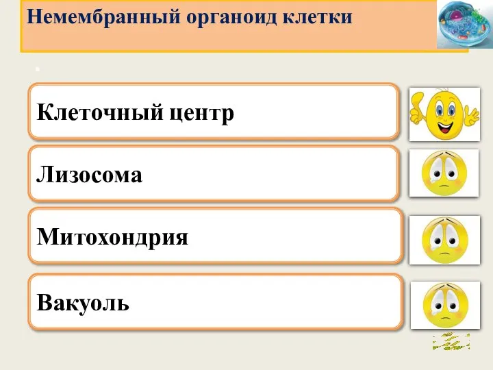 . Лизосома Митохондрия Вакуоль Немембранный органоид клетки Клеточный центр