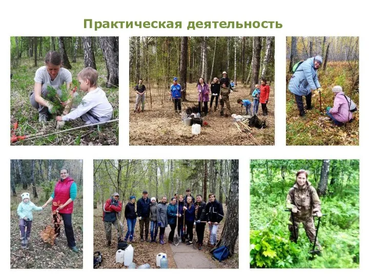 Практическая деятельность Практическая деятельность волонтёрской команды «Красноярские Леса Будущего. Волонтёры-лесоводы» – это