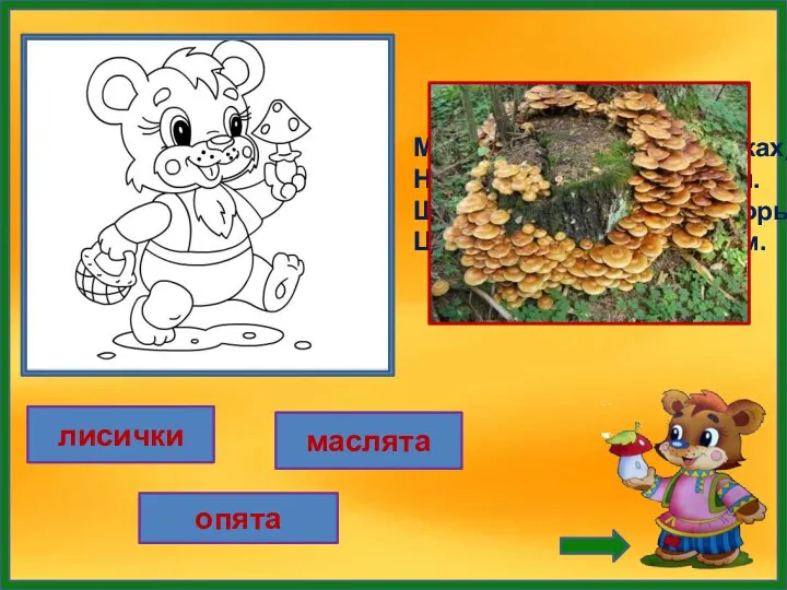 лисички маслята Мы растём на тонких ножках, На пеньках гурьбой стоим. Шляпки