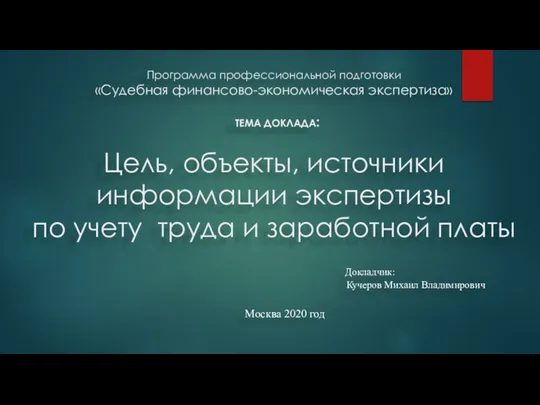 Программа профессиональной подготовки «Судебная финансово-экономическая экспертиза» ТЕМА ДОКЛАДА: Цель, объекты, источники информации