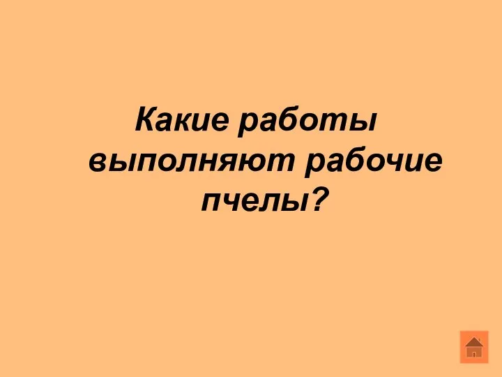 Какие работы выполняют рабочие пчелы?