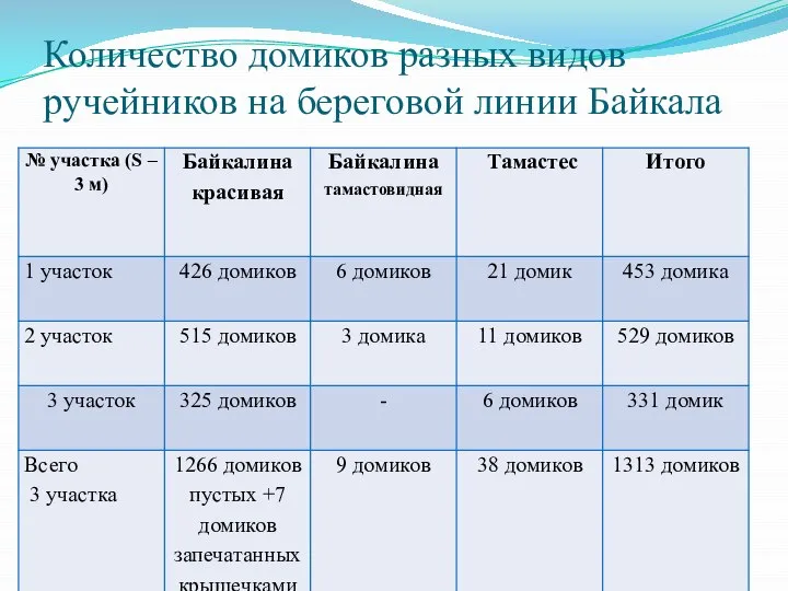 Количество домиков разных видов ручейников на береговой линии Байкала