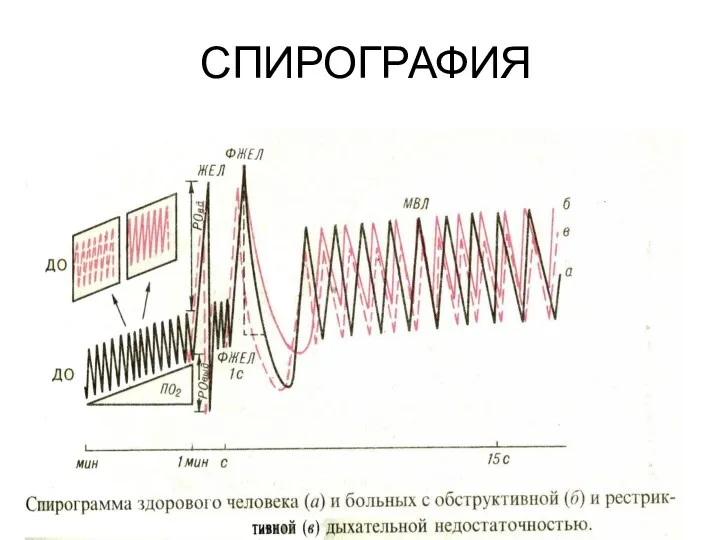 СПИРОГРАФИЯ