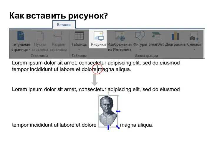 Как вставить рисунок? Lorem ipsum dolor sit amet, consectetur adipiscing elit, sed