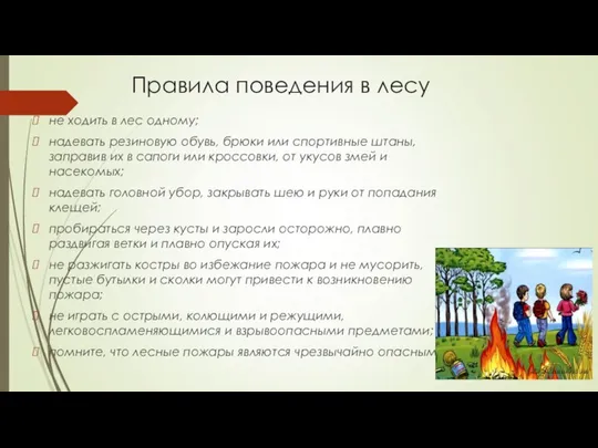 Правила поведения в лесу не ходить в лес одному; надевать резиновую обувь,