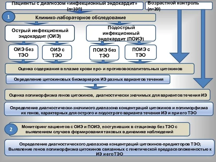 Определение цитокиновых биомаркеров ИЭ разных вариантов течения Пациенты с диагнозом «инфекционный эндокардит»