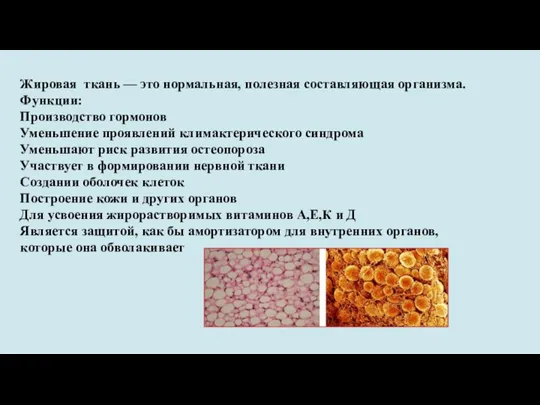 Жировая ткань — это нормальная, полезная составляющая организма. Функции: Производство гормонов Уменьшение