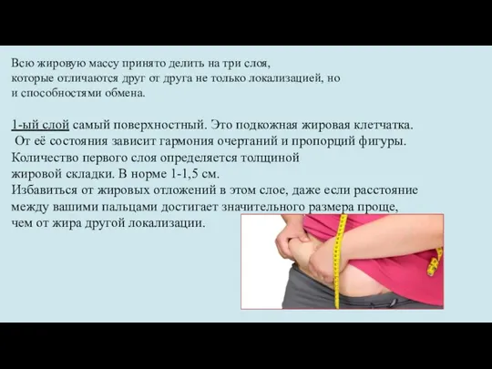 Всю жировую массу принято делить на три слоя, которые отличаются друг от