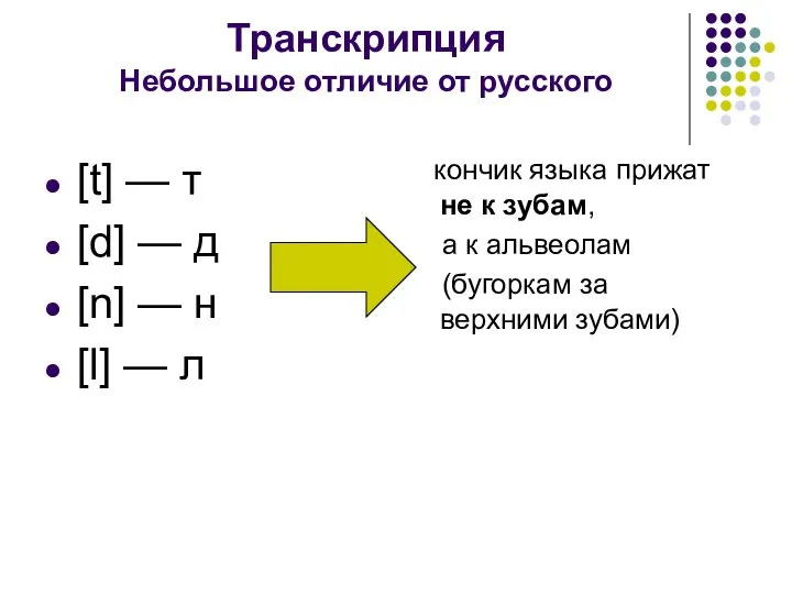 Транскрипция Небольшое отличие от русского кончик языка прижат не к зубам, а