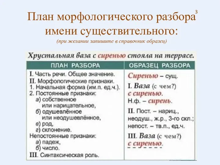 План морфологического разбора имени существительного: (при желании запишите в справочник образец) 3