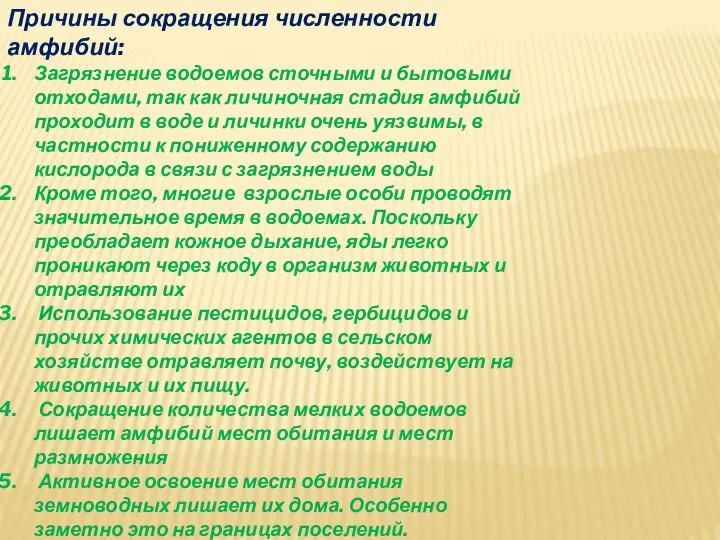 Причины сокращения численности амфибий: Загрязнение водоемов сточными и бытовыми отходами, так как