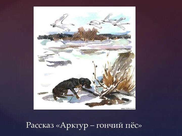 Рассказ «Арктур – гончий пёс»