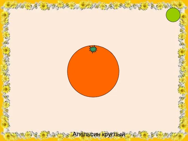Апельсин круглый
