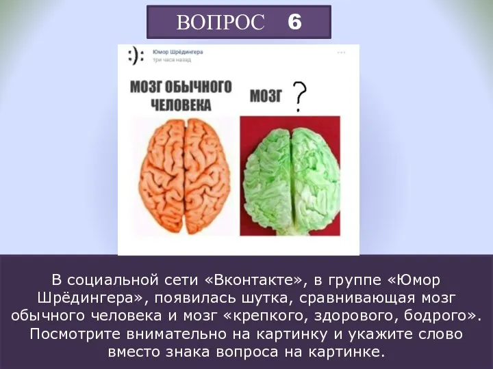 ВОПРОС 6 В социальной сети «Вконтакте», в группе «Юмор Шрёдингера», появилась шутка,