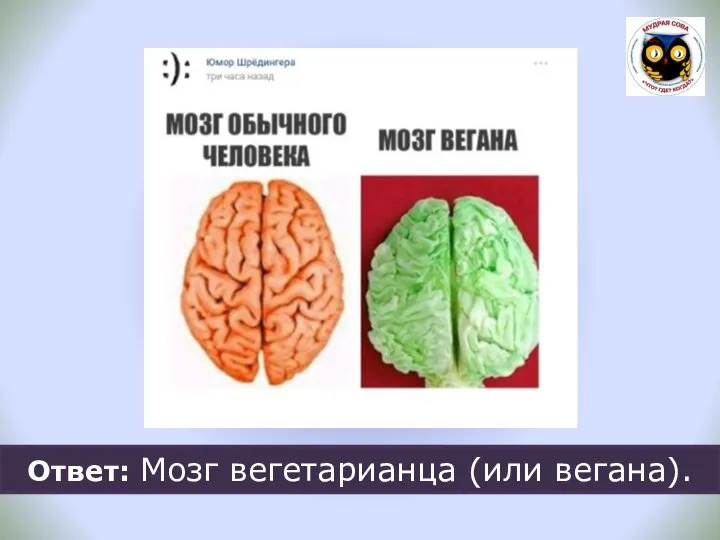Ответ: Мозг вегетарианца (или вегана).