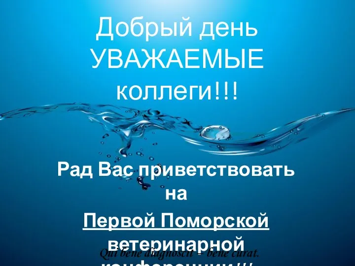 Добрый день УВАЖАЕМЫЕ коллеги!!! Рад Вас приветствовать на Первой Поморской ветеринарной конференции!!!