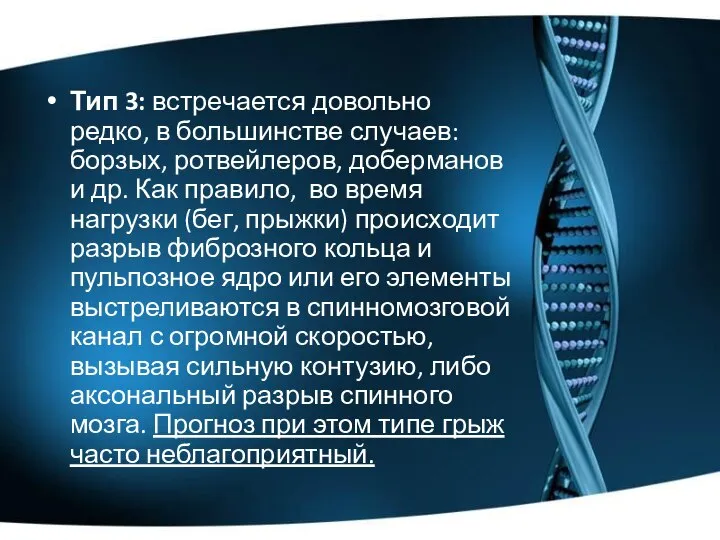 Тип 3: встречается довольно редко, в большинстве случаев: борзых, ротвейлеров, доберманов и